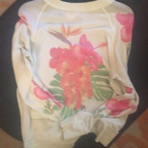 Wildfox sweater